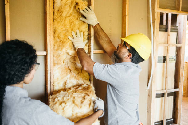 Professional Insulation in Mulberry, NC